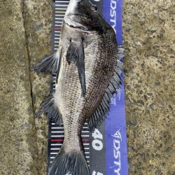 イチノ兄弟、釣果！