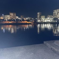 やっぱりガシリング