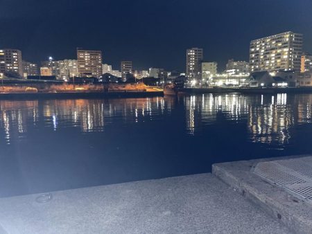 やっぱりガシリング