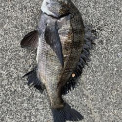 イチノ兄弟、釣果!