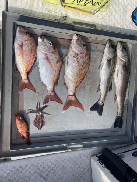 今年初のおめで鯛