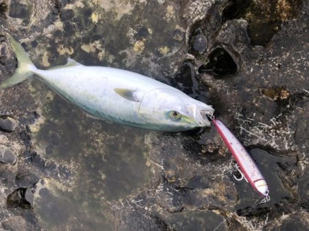 ショアプラッキング