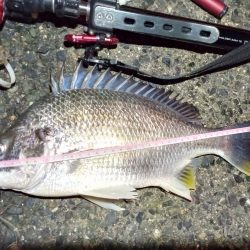 2022/01/07 南港ヘチ釣り