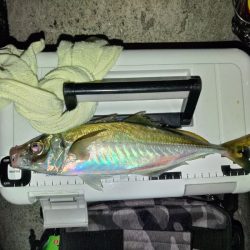 (尺アジ)フロートゲーム