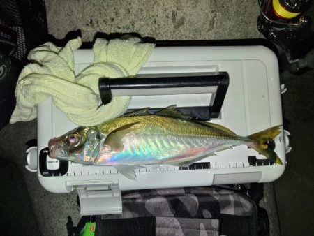 (尺アジ)フロートゲーム