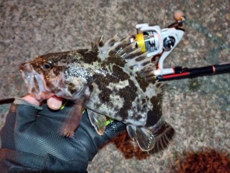 2022/01/13 南港ライトゲーム釣行…