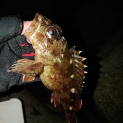 フロートゲーム～