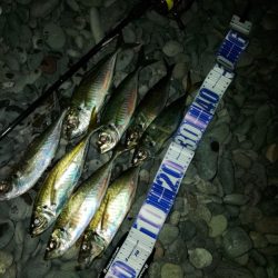 フロートゲーム～