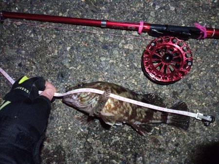 2022/01/30 南港ヘチ釣り（落とし…