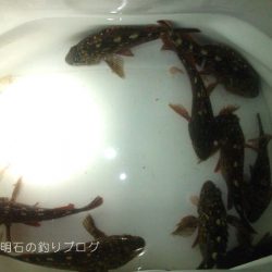 初釣り