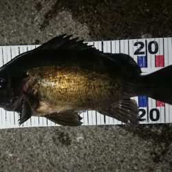 自己記録更新ならず!