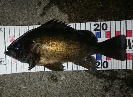 自己記録更新ならず!