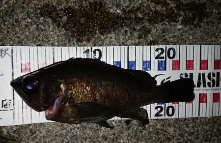 激渋だったけど