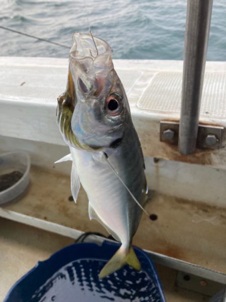 鬼アジ　チャレンジ