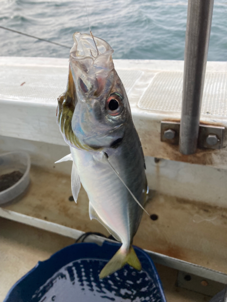 鬼アジ　チャレンジ