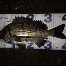 あたりはあるが