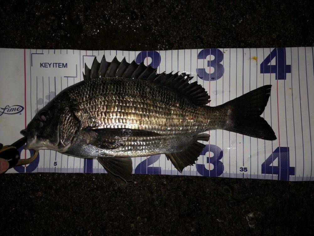 あたりはあるが