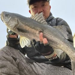 アフターシーバス