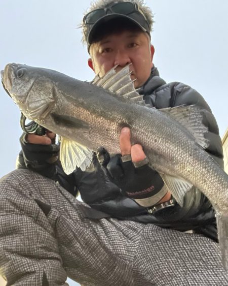 アフターシーバス