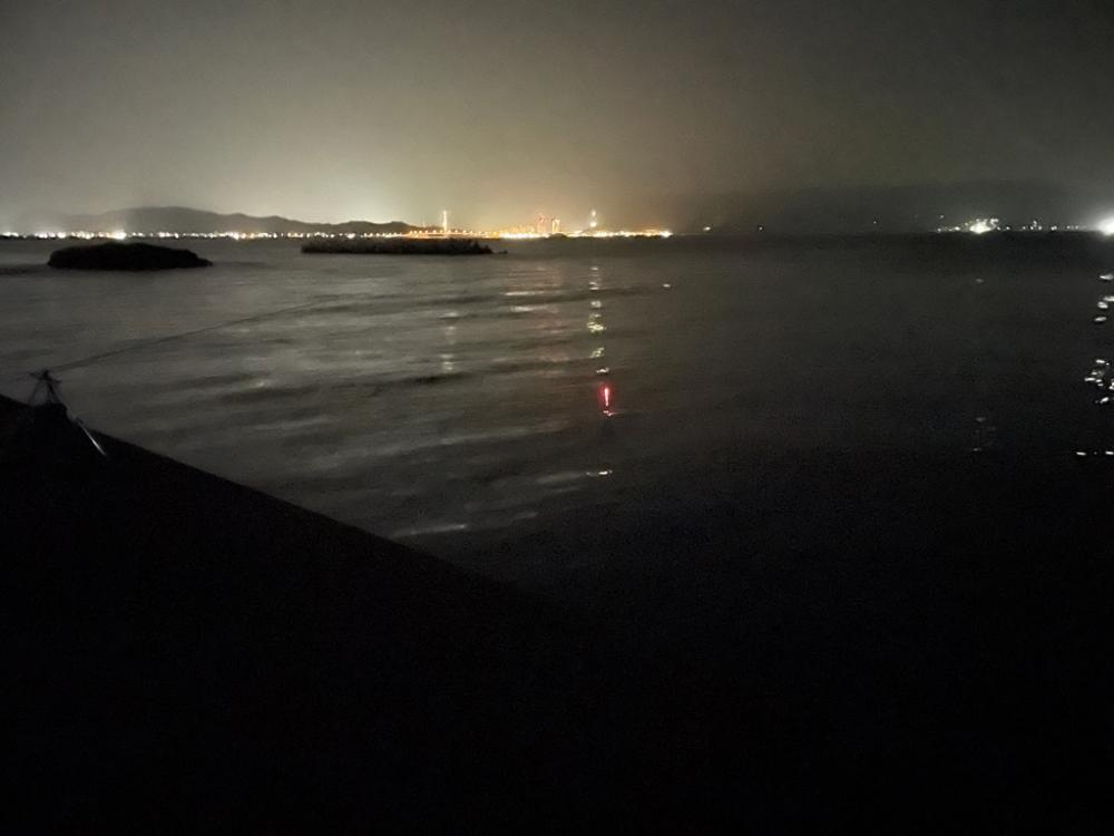 田ノ浦で夜中のカゴ釣り