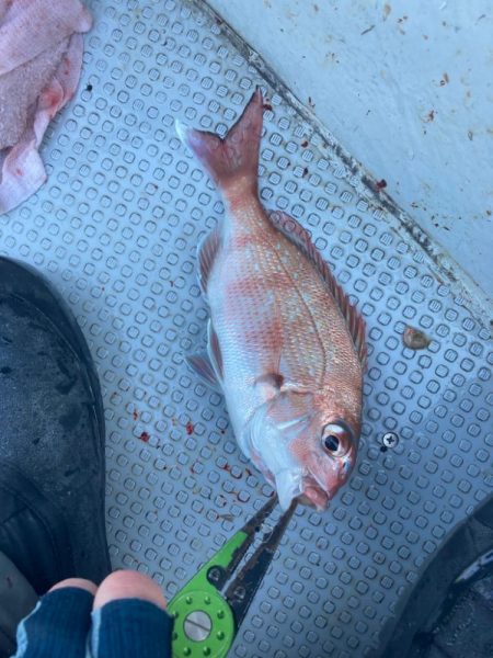 今年初ヒトツテンヤ