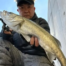 アフターシーバス