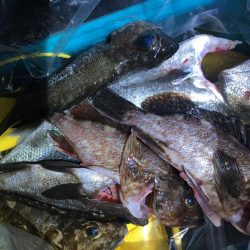 週末体寒トレーニング