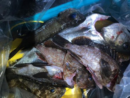 週末体寒トレーニング