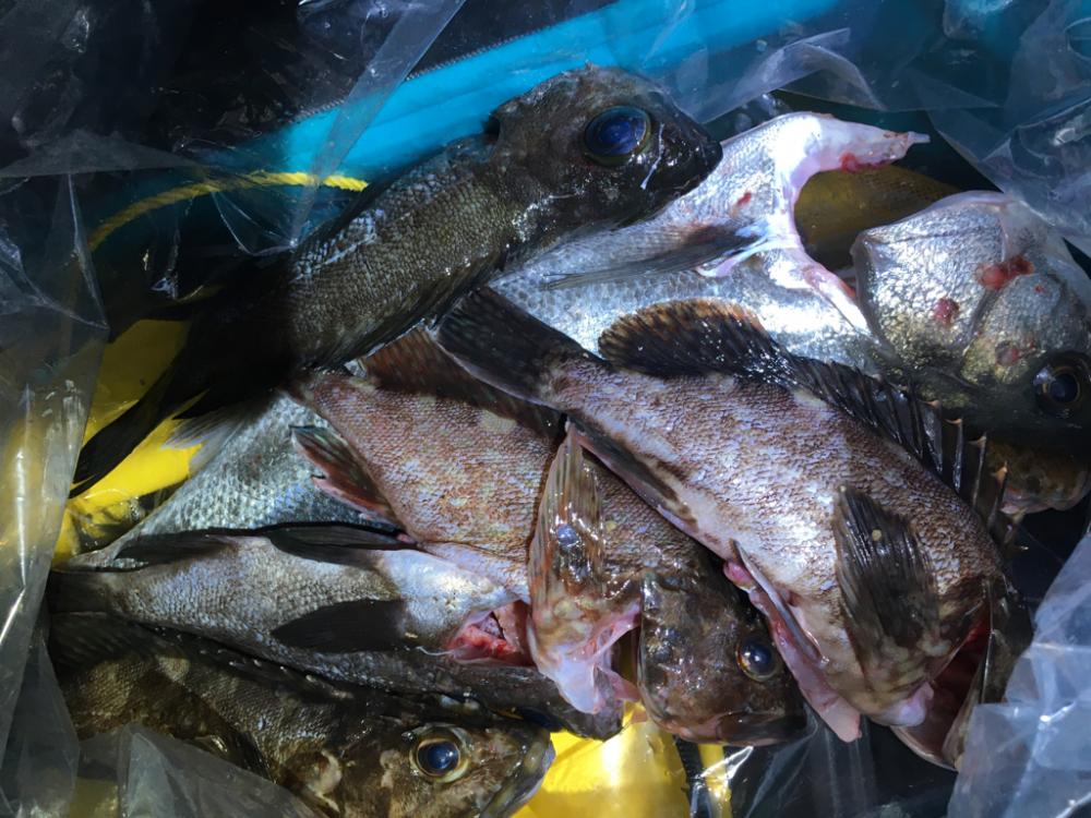 週末体寒トレーニング