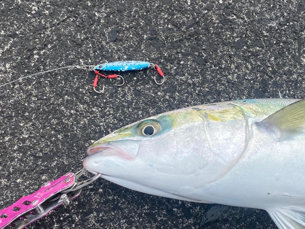 ナブラが消えたあと