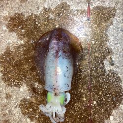 今年初釣行は初ヤエン釣り