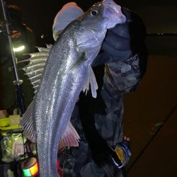 難しかったボートシーバス