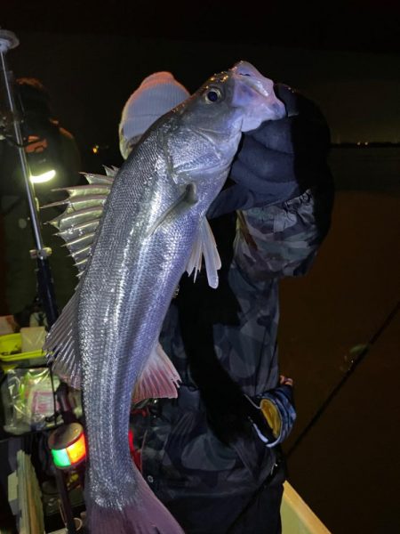 難しかったボートシーバス