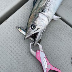 丹後沖ジギング