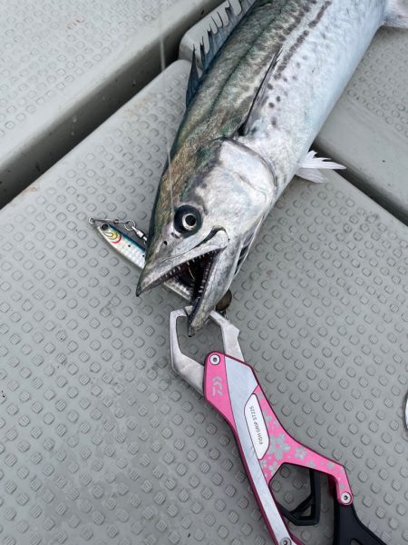 丹後沖ジギング