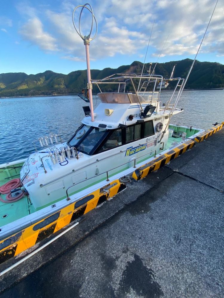 三重イカメタル