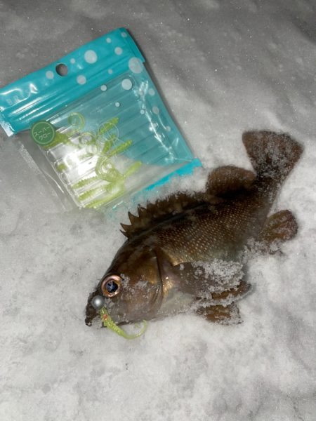 寒い時こそライトゲーム