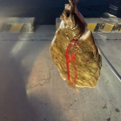 車中泊In都志港