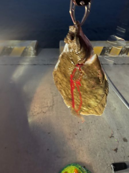 車中泊In都志港