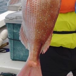 タイサビキ初挑戦