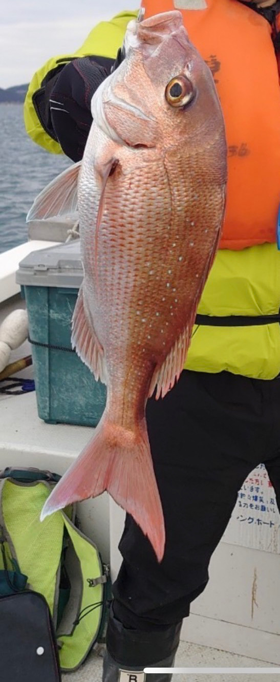 タイサビキ初挑戦