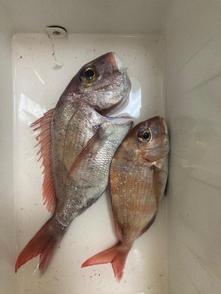 一つテンヤリベンジならず..