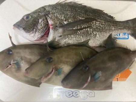 今年初激寒フカセ