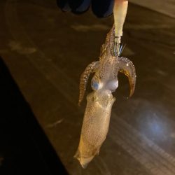 なかなか釣れない