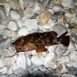 フローティング？ガシリング