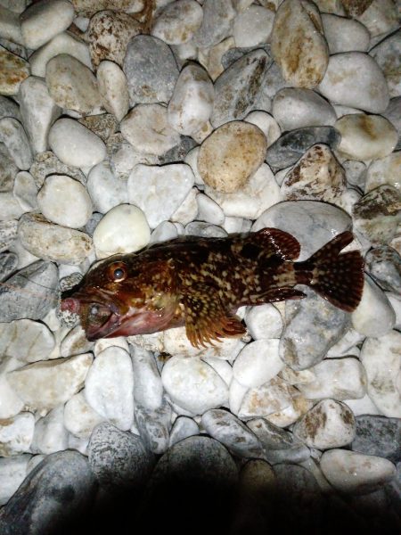 フローティング？ガシリング