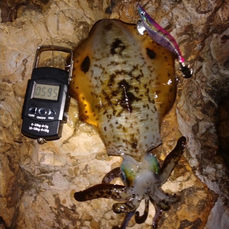 スローエギング