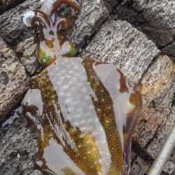 えっ⁉️まさか…