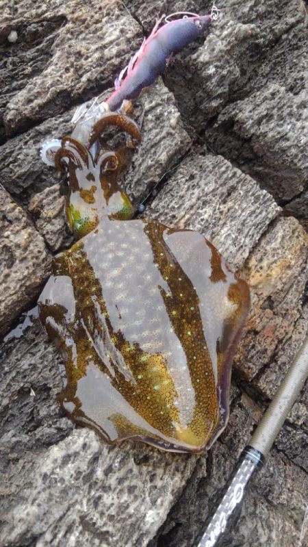 えっ⁉️まさか…