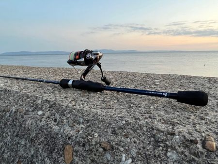 メバル釣れません！